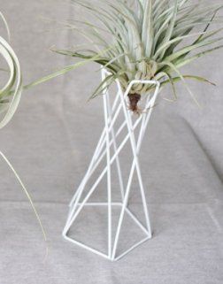 Air Pineapple Torch Pentagonal Bracket