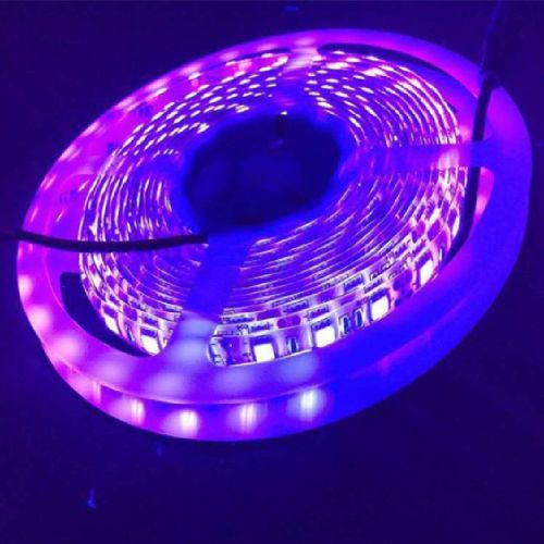 LED Purple Light UV Soft Patch Light With Low Voltage